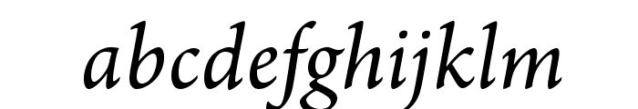 ArnoPro-Italic Font LOWERCASE
