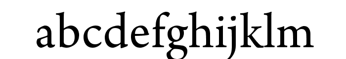 ArnoPro-Regular Font LOWERCASE