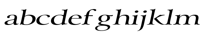 Array Extended Italic Font LOWERCASE