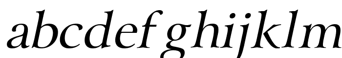 Array Italic Font LOWERCASE