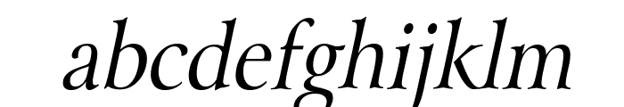 Array Thin Italic Font LOWERCASE