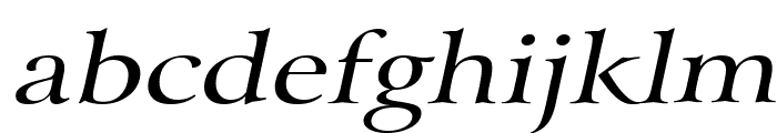 Array Wide Italic Font LOWERCASE