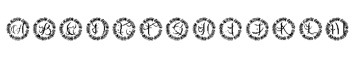 Ardenvale Monogram FONT