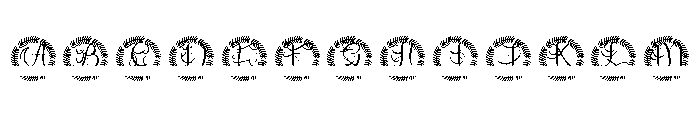 Ardenvale Split Monogram FONT