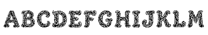 Areeba Regular FONT