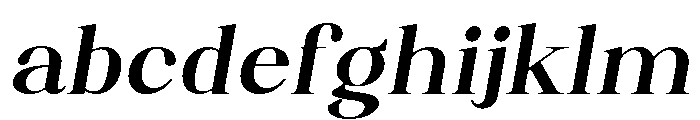 Artrend Soft Black Exp Slant FONT