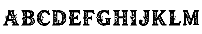 Aryeh Regular FONT