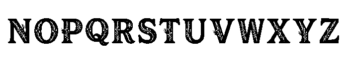 Aryeh Regular Font LOWERCASE