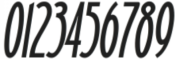 Arina Italic otf (400) Font OTHER CHARS