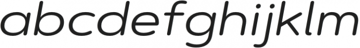 ArtegraSoftEx-RegularItalic otf (400) Font LOWERCASE
