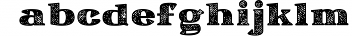 Ardin | Distressed Wedge Serif Webfont 5 Font LOWERCASE