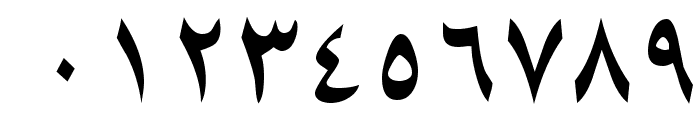 ArabicNaskhSSK Font OTHER CHARS
