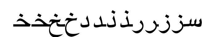 ArabicRiyadhSSK Font LOWERCASE