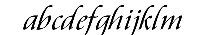 Aramis Italic Font LOWERCASE