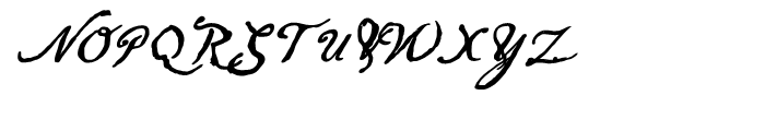 Arendahl Alternate Bold Script Font UPPERCASE