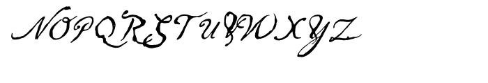Arendahl Alternate Script Font UPPERCASE
