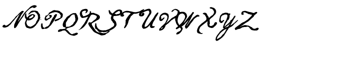 Arendahl Bold Script Font UPPERCASE