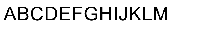 Arial Unicode MS Regular Font UPPERCASE