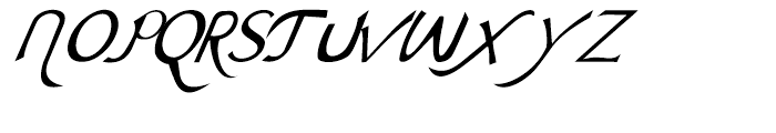 Ariana Elegance Italic Font UPPERCASE