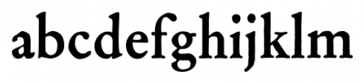 Archive Garamond Pro Bold Font LOWERCASE