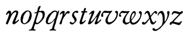 Archive Garamond Pro Italic Font LOWERCASE