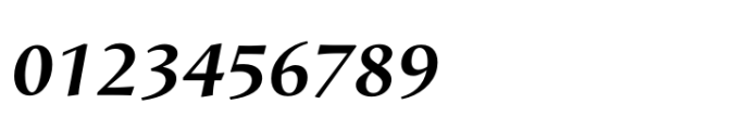 Arastradero Bold Italic Font OTHER CHARS