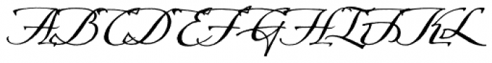Arcana Std Manuscript Font UPPERCASE