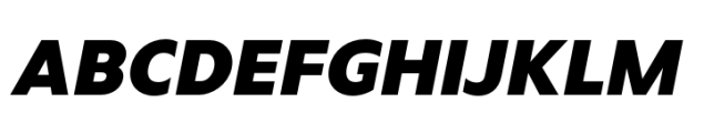 Ardena Black Oblique Font