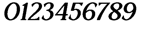 Ardiga Bold Expanded Italic Font OTHER CHARS