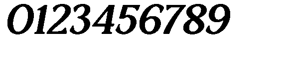 Ardiga Extra Bold Expanded Italic Font OTHER CHARS
