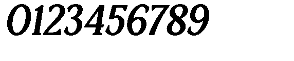Ardiga Extra Bold Italic Font OTHER CHARS
