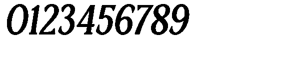 Ardiga Extra Bold Semi Condensed Italic Font OTHER CHARS