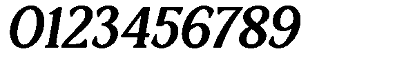 Ardiga Extra Bold Semi Expanded Italic Font OTHER CHARS