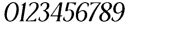 Ardiga Light Italic Font OTHER CHARS