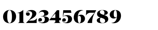 Ariata Pro Display Black Font OTHER CHARS