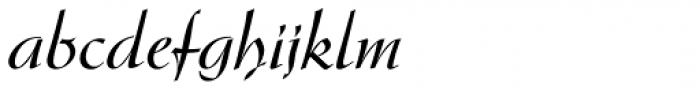 Arkona Pro Regular Font LOWERCASE