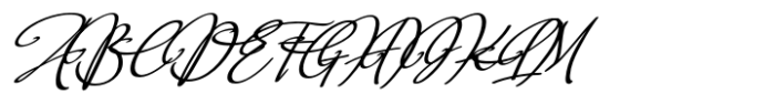 Arlanda Script Swash Bold Font UPPERCASE