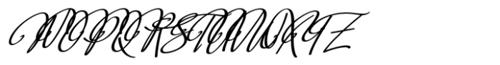 Arlanda Script Swash Bold Font UPPERCASE