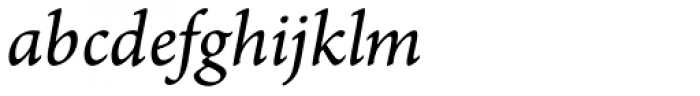 Arno Pro SmallText Italic Font LOWERCASE