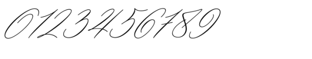 Artsn Script Pro Bold Italic Font OTHER CHARS