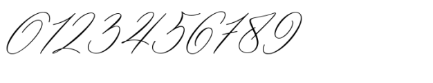 Artsn Script Pro Bold Font OTHER CHARS