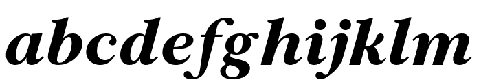 Archive Pro ExtraBold Italic Font LOWERCASE