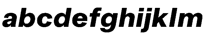 ArchiveGrotesk 800Italic Instance FONT