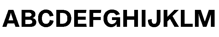 Arial Grotesk Bold Font UPPERCASE