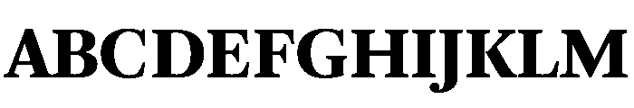 ArnhemCyrillic Black Font UPPERCASE