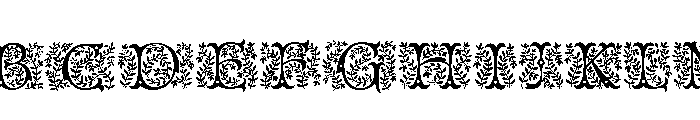 Araminta Initials Font UPPERCASE