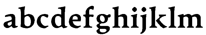 Artifex Heavy FONT
