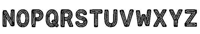 Aseel Regular Font LOWERCASE