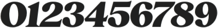 Ashford Bold Italic otf (700) Font OTHER CHARS