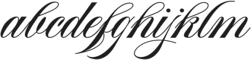 Aston Script Bold Bold otf (700) Font LOWERCASE